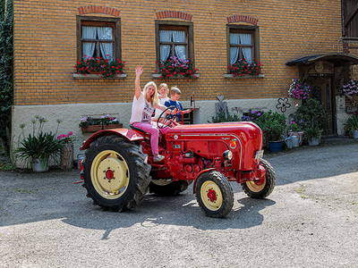 Bild 15 aus  Hofgut Willburger