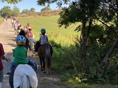 Bild 63 aus  Ferienhof Messer  Bauernhofurlaub  Ostseenähe  Ponys