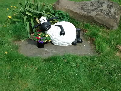 Bild 13 aus  Ferienhof Sönnecken