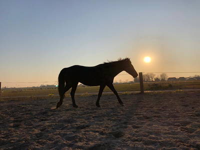 Bild 17 aus  Schwalbenhof