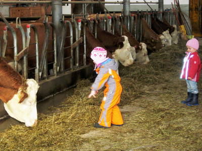 Bild 27 aus  Ferienhof Köpf
