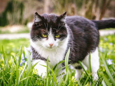 Bild 20 aus  Luginger Hof