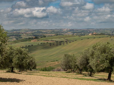 Bild 7 aus  Ferienwohnungen auf kleinem Reiterhof mit Pool