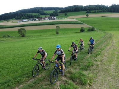 Bild 113 aus   Pammer - Jahn