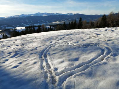 Bild 40 aus Bergbauernhof Rami