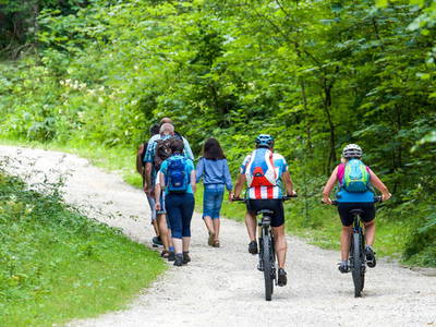 Bild 26 aus  Ferienhof Markhart