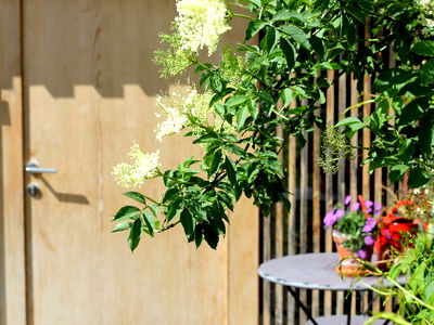 Bild 109 aus Bio-Ferienbauernhof Greber
