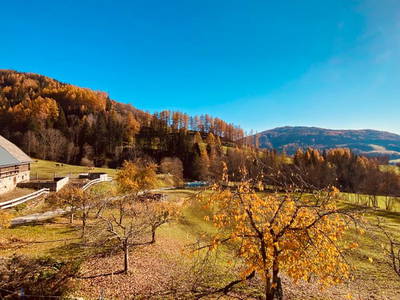 Bild 169 aus  Almchalet Nikola