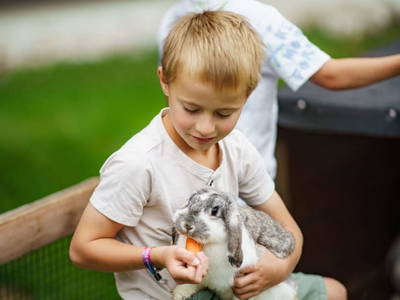 Bild 41 aus  Linharterhof Appartements