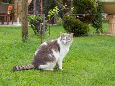 Bild 13 aus  Antonhof