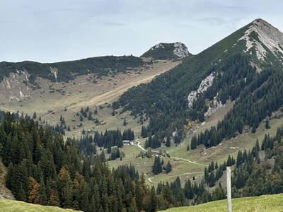 Bild 53 aus  Lochner Alm