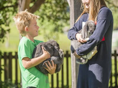 Bild 51 aus  Ferienwohnungen Ranstl