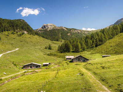 Bild 24 aus  Unterpleißlinghütte