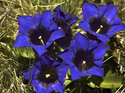 Bild 35 aus  Palfenhof