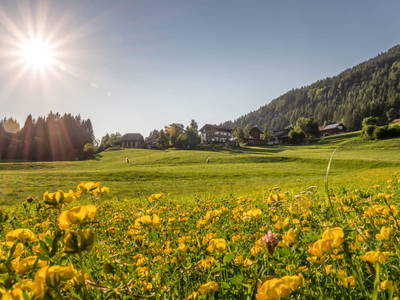 Bild 27 aus  Gasperhof