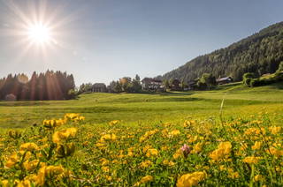 Gasperhof aus Dellach