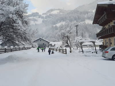 Bild 40 aus  Reiterhof