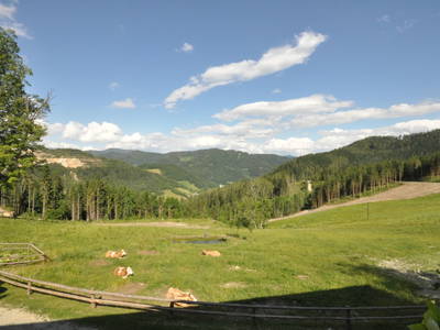 Bild 43 aus  Greithbauer Appartments