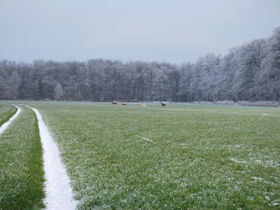 Bild 81 aus  Ahoi Ostsee:  Bauernhof und OstseeUrlaub - Ferienhof Becker in Dahme