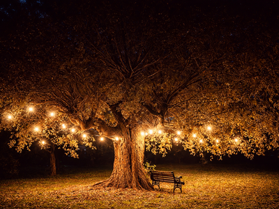 Bild 11 aus  An der See.de