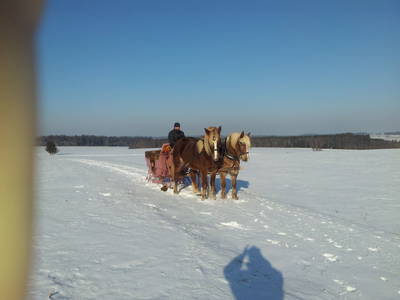Bild 7 aus  Pension Baarblick
