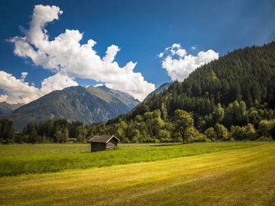 Bild 31 aus  Bio-Bauernhof Obertrattenbachhof