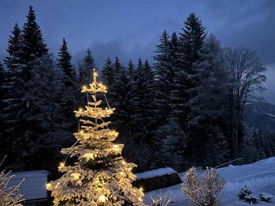 Bild 16 aus  Ferienhaus Gegg vlg. Pauritschmichl