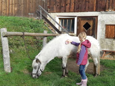 Bild 41 aus  Steinacher