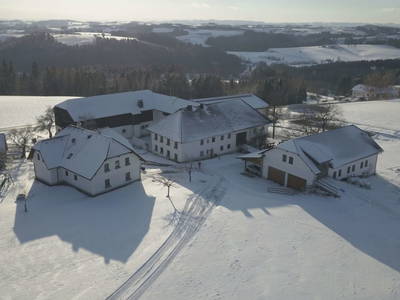 Bild 41 aus  Grainmeister