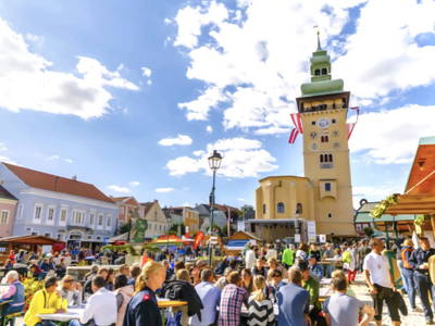 Bild 92 aus  Ferienhaus Weinviertel