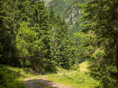 Bild 73 aus  Eseihütte