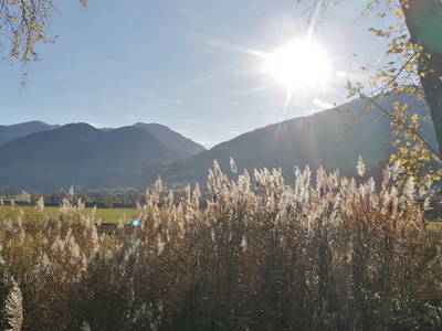 Bild 3 aus  Haus Bergblick