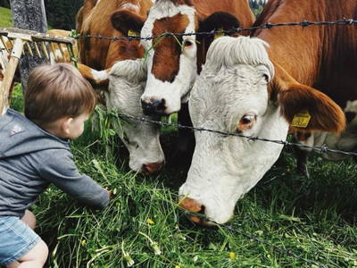 Bild 114 aus  Sinnhubgut