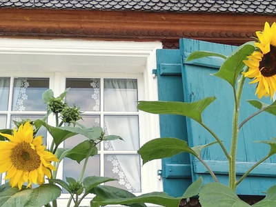 Bild 37 aus  Bio Ferienbauernhof Greber