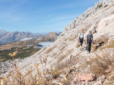 Bild 9 aus  Wohnen in der Honigmanufaktur - ein Urlaub zum Schwärmen