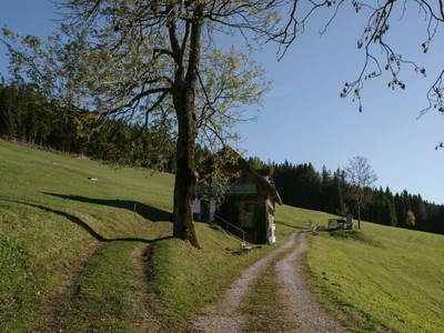 Bild 45 aus  Pieber-Staberhof