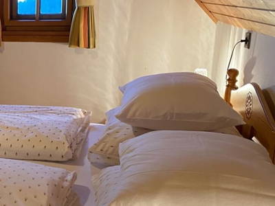 Bild 18 aus  Ferienhaus Jöbstl