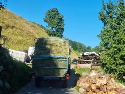 Bild 91 aus  Mortnerhof