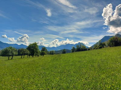 Bild 5 aus Biohof Kreilgut