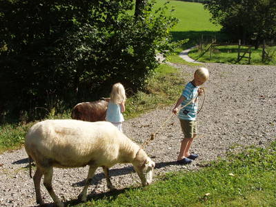 Bild 45 aus  Einkehrhof Poggau