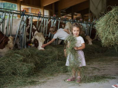 Bild 37 aus  Linharterhof Appartements