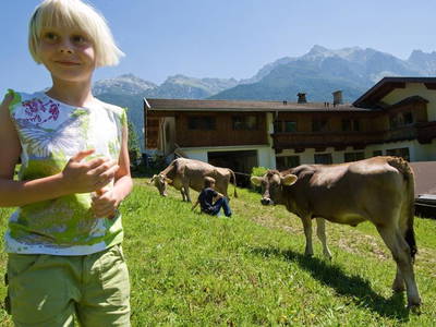 Bild 48 aus  Ladestatthof