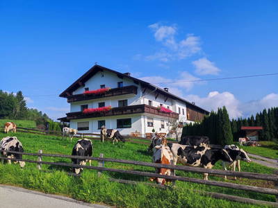 Bild 2 aus  Stillerhof