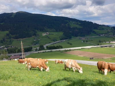 Bild 10 aus  Burnstein