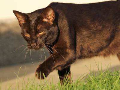 Bild 25 aus  Lehnerhof