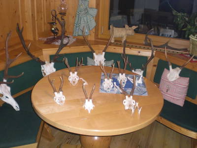 Bild 105 aus  Bauernhof Oberscheffau