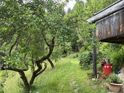 Bild 2 aus  Kräutlhütte Auer