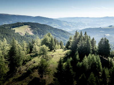 Bild 202 aus  Bischofhütten