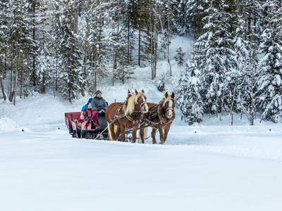 Bild 98 aus  Wechslerhof