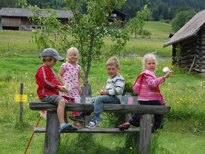 Bild 24 aus  Hocheggerhof